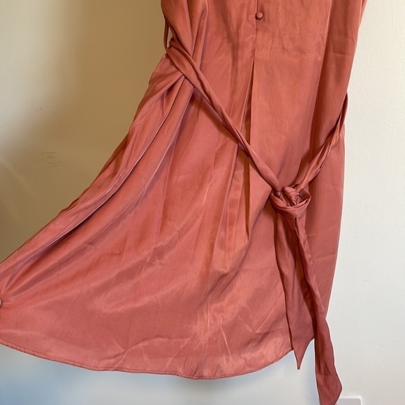 Feminine Rose Mini Dress Soft Girl Neutral Naked Zebra Silky Med Pink Minimalist - Picture 7 of 11